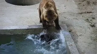 Мылодрамма 