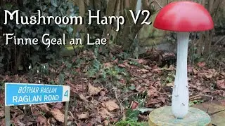 Mushroom Harp V2! (Fáinne Geal an Lae / 'Raglan Road')