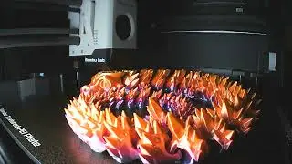 dragon timelapse 2023 11 17 13 56