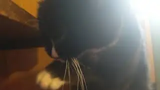 Bath time