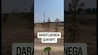 Hammasi reja asosida. Yashil makon.