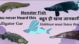 Unbelievable Aquarium Monster Fish: Size, Care, and More!