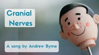 Cranial Nerves