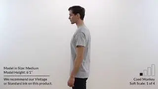 Custom GILDAN HEAVY COTTON UNISEX T-Shirt Style 5000 360° Product Video by Coed Monkey
