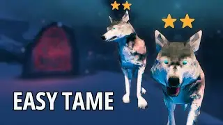 You’re Taming Wolves WRONG in Valheim