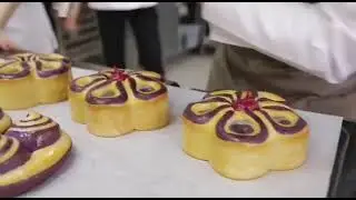 فنون الكيك