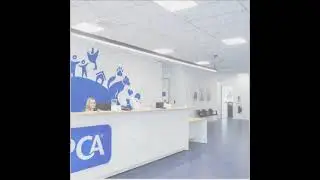 Altro case study | SPCA and Doggy Daycare