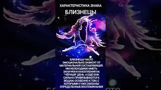#близнецы