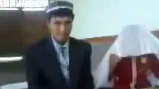 Никох туйи