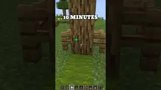 Camp at Different Times (World's Smallest Violin)