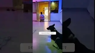 Bhakt kallu