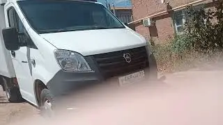 1 августа 2023 г.