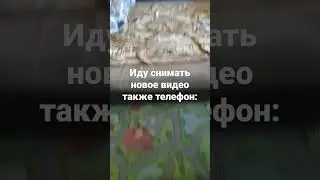 23 апреля 2023 г.