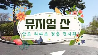 뮤지엄 산 안도 타다오 청춘 전시회 관람기