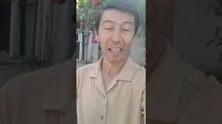 КИЗЛАР ТОИФАСИ#shorts
