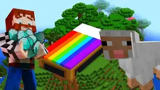 Why I made a giant rainbow bed…