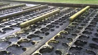 FlowForm