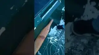 palamut avı efsane sezon