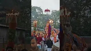 Mayapur elephant procession!