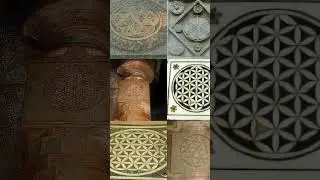 Yaşam Çiçeği Sembolünün Gizemleri