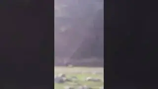 Сари Хосор