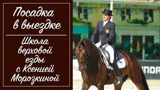 Посадка всадника в выездке. Идеальная выездковая посадка.