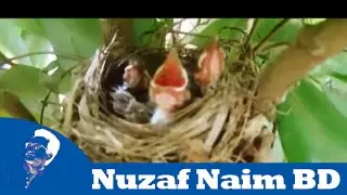 Close To Nature