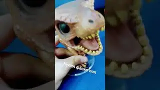 купил Фанко поп