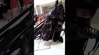Когда снимать нельзя ,но очень хочется...