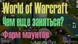Фарм маунтов Чем заняться World of Warcraft для чайников
