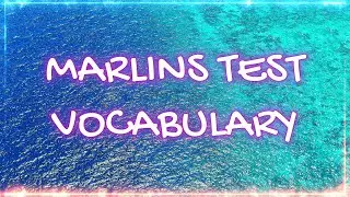 Marlins Test For Seafarer - Vocabulary