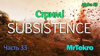 Subsistence (Играем и общаемся!)