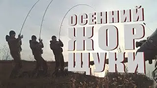 Большая щука | Береговая рыбалка на спиннинг | Рыболовный гид | Ловля Щуки поздней осенью на Джиг