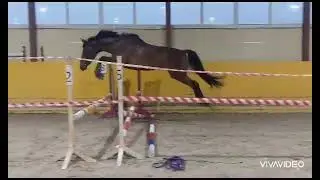 Хайди