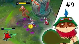 perfectly timed shrooms | tenmo player #9
