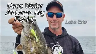 Alabama Rig fishing in deep water in Lake Erie.