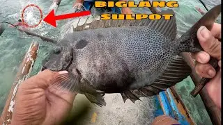 ANG LAKI NG AHAS NAHULI NAMIN SA LAMABAT
