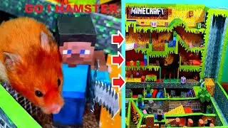 Hamster Minecraft Maze, Hamster competitions in the world of minecraft,123! Go Hamsters
