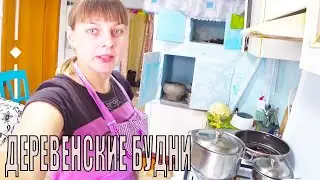 ДЕРЕВЕНСКИЕ БУДНИ, ПОСЛЕ ПРАЗДНИКОВ. МОЛОЧНЫЙ ПИРОГ.ИЗ ГОРОДА В ДЕРЕВНЮ Лайф. Сер№117