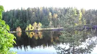 Валаам. Вечерние разговоры чаек (слушать громко!)