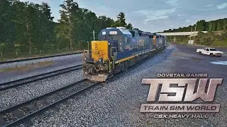 THIS IS TRAIN SIM WORLD!