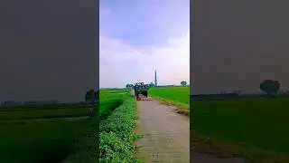 Village Short Vlog #vlog #shorts