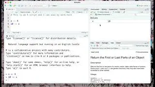 The RStudio environment