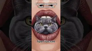 Традиційні українські котячі імена 🩵💛😄 