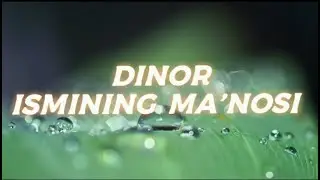 DINOR ISMINING MA'NOSI 