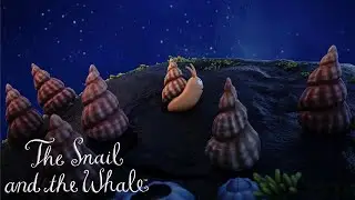 The Snail Meets the Whale 