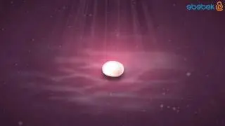 Hafta Hafta Gebelik - 1. -  4. Hafta