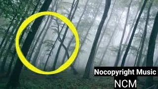 Alex Skrindo, Severin & Like Lions - Heart [NoCopyright Music  NCS ] Best 10