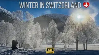 A journey for the essence of winter in Switzerland