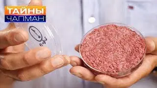 Чем нас кормят?  Искусственная еда HD